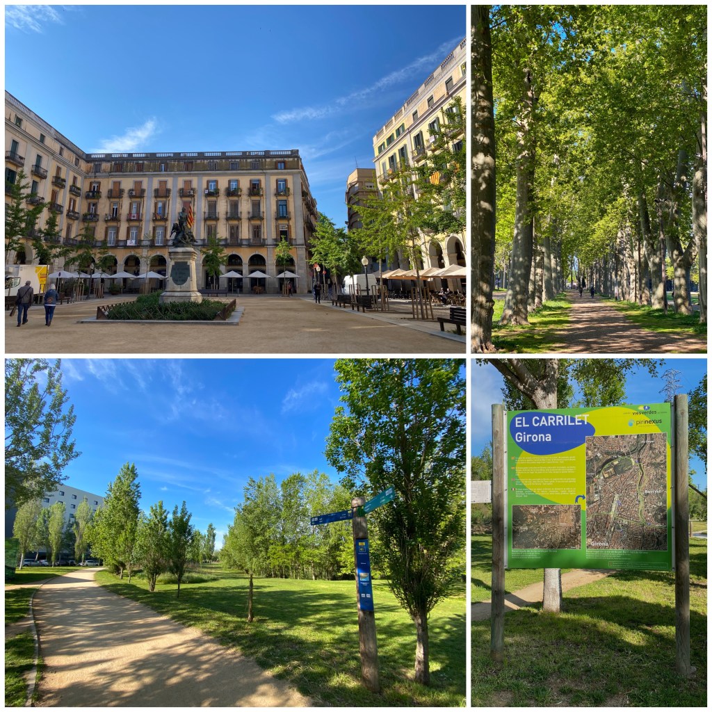 La imagen tiene un atributo ALT vacío; su nombre de archivo es img_4623.jpg