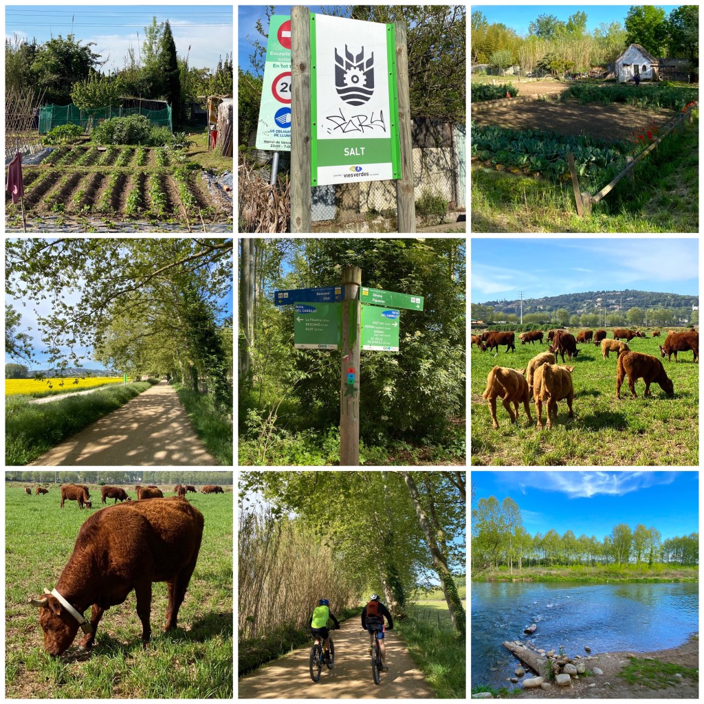 La imagen tiene un atributo ALT vacío; su nombre de archivo es img_4633.jpg