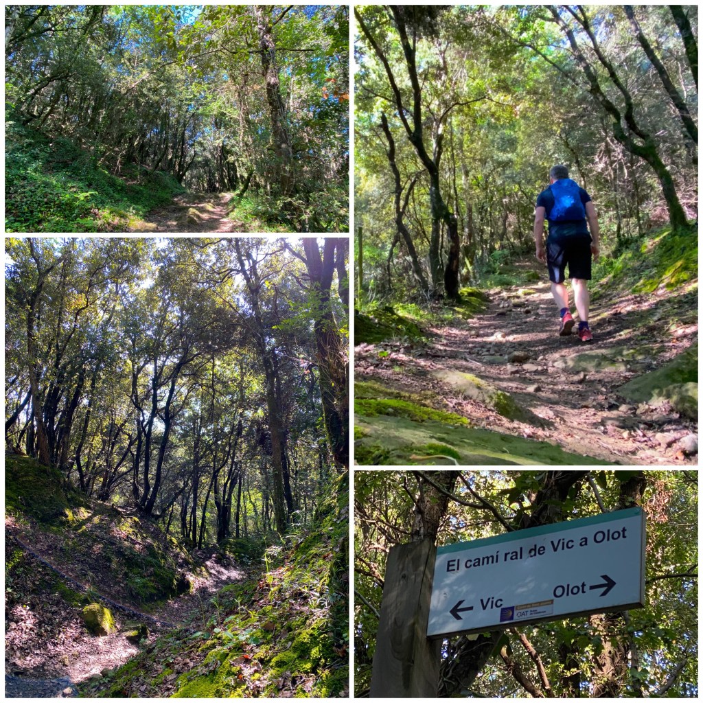 La imagen tiene un atributo ALT vacío; su nombre de archivo es img_5148.jpg