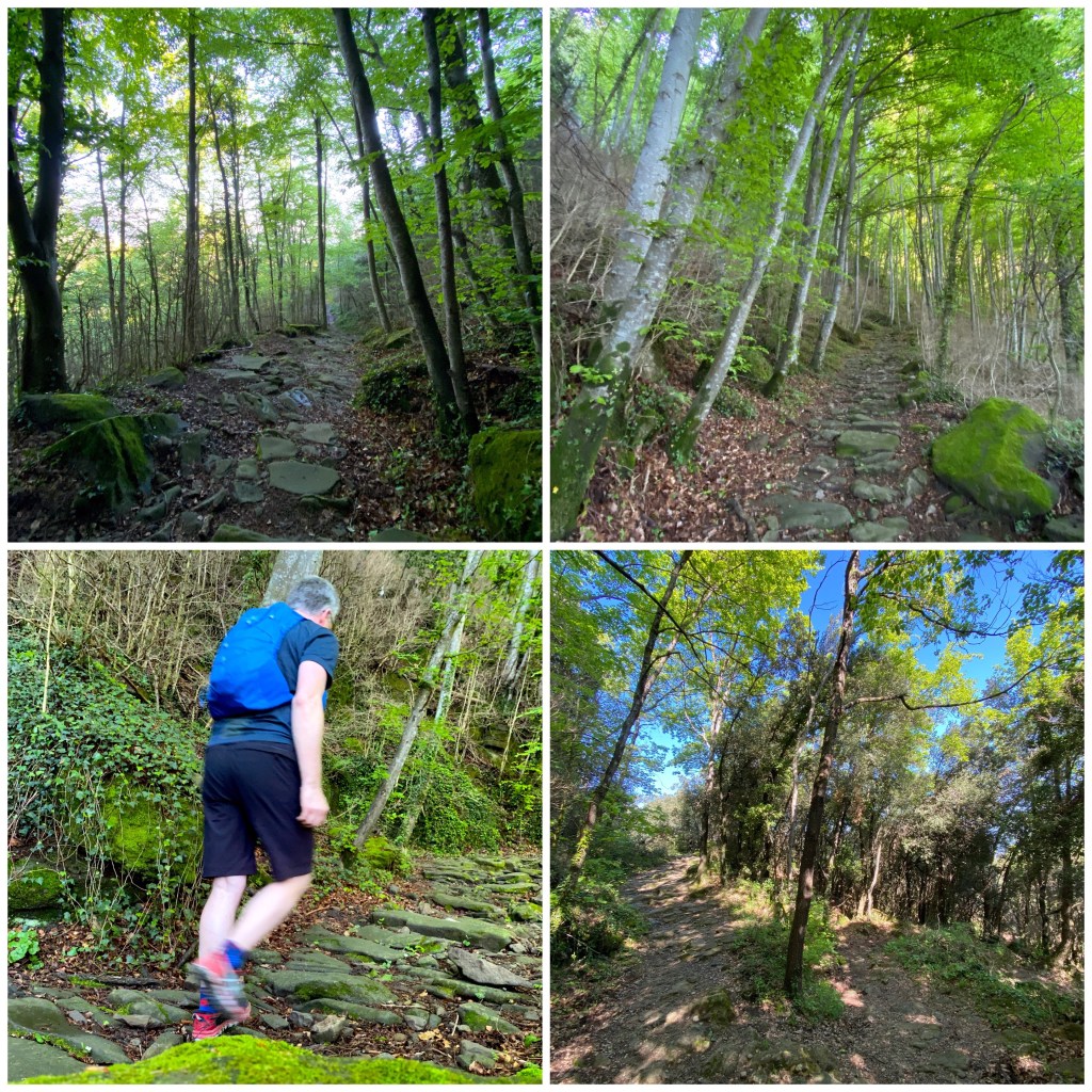 La imagen tiene un atributo ALT vacío; su nombre de archivo es img_5149.jpg