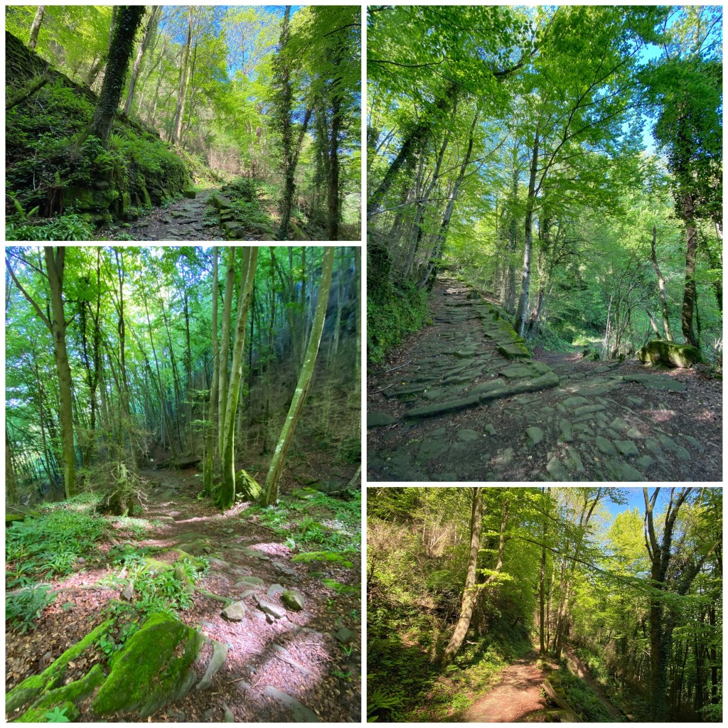 La imagen tiene un atributo ALT vacío; su nombre de archivo es img_5152.jpg