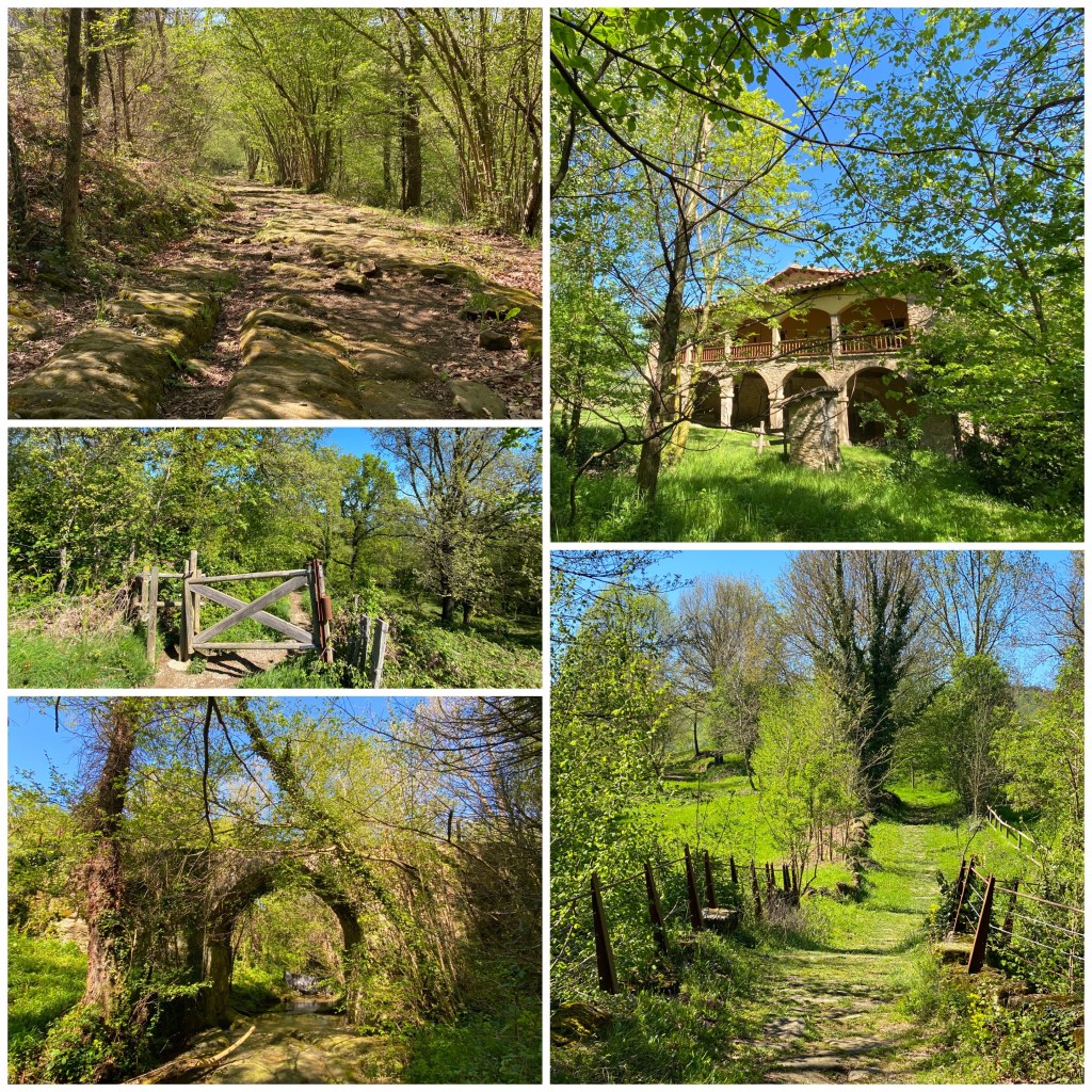 La imagen tiene un atributo ALT vacío; su nombre de archivo es img_5153.jpg