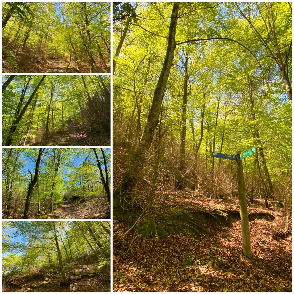 La imagen tiene un atributo ALT vacío; su nombre de archivo es img_5156.jpg