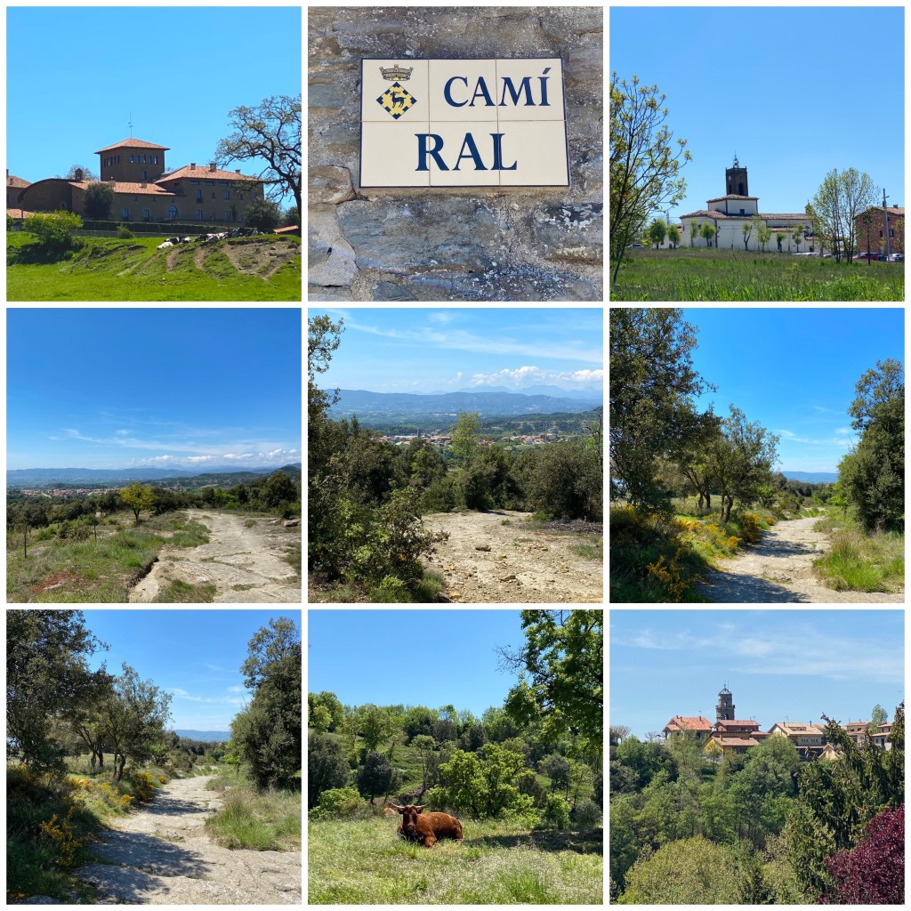 La imagen tiene un atributo ALT vacío; su nombre de archivo es img_5159.jpg